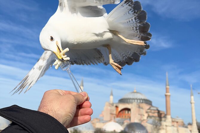 ISTANBUL BEST: Iconic Landmarks Full Day PRIVATE Guided City Tour - Key points at a glance