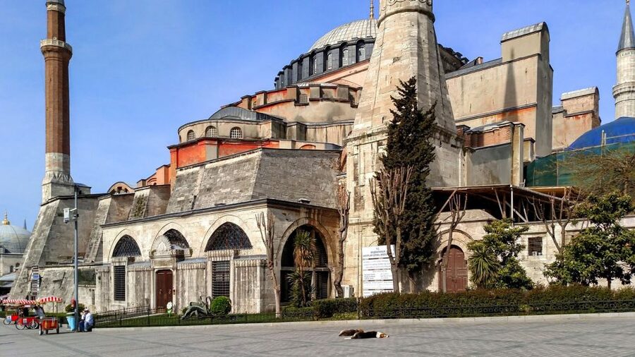 Istanbul: Blue Mosque & Hagia Sophia Guided Tour w/ Tickets - Clothing, security, and practical preparation
