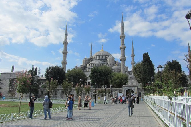 Istanbul: Blue Mosque & Hagia Sophia Small-Group Tour with ticket - Who should take this walking tour?