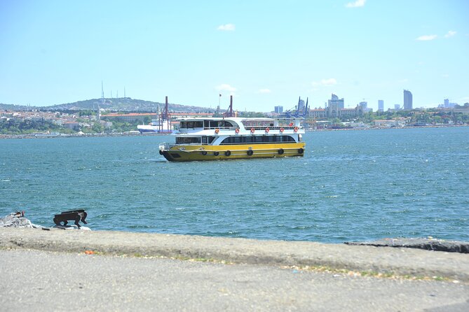 Istanbul: Bosphorus and Golden Horn Cruise with Audio Guide - Rumeli Fortress and Anatolian Fortress