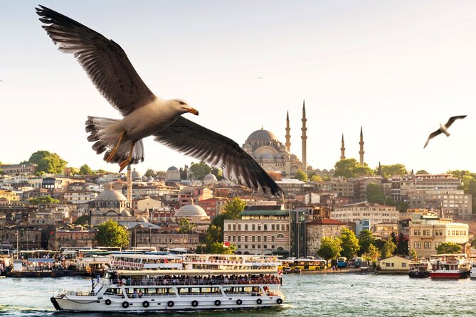 Istanbul Bosphorus Boat Tour and Golden Horn Cruise Day or Sunset - Ortaköy Mosque and the Bosphorus bridges