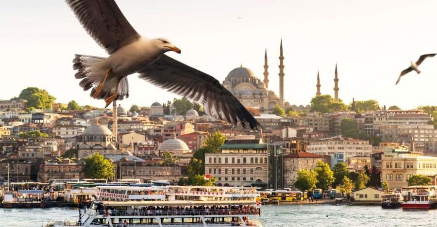 Istanbul: Bosphorus Dinner Cruise with Private Table & Show - Dinner at your private table