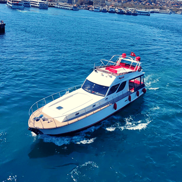 İstanbul: Bosphorus Private Yacht Cruise with Tea and Coffee - How to make the most of the two hours