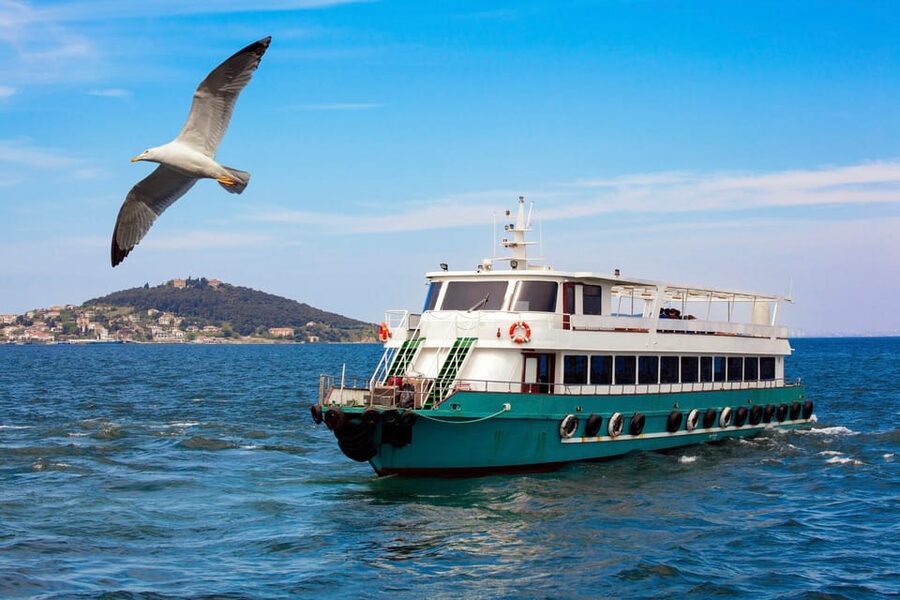 Istanbul: Bosphorus Strait Sightseeing Cruise & Audio Guide - The Asian shore: Anadolu Hisarı and Küçüksu