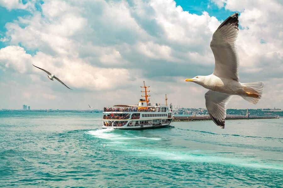 Istanbul: Bosphorus Strait Sightseeing Cruise & Audio Guide - Beylerbeyi Palace and the ride back to Kabataş