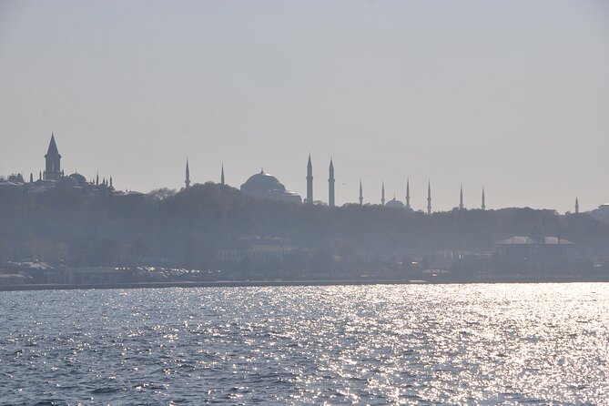 Istanbul Bosphorus Tour With Whirling Dervish Show - Passing beneath the Bosphorus bridges