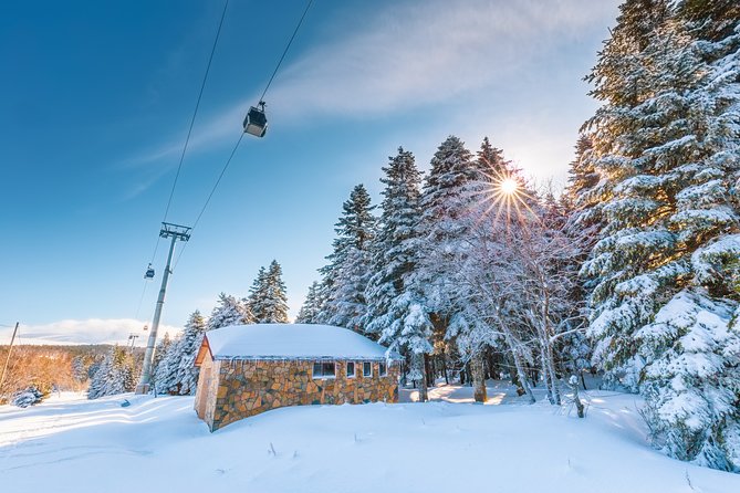 Istanbul: Bursa and Uludag Mountain Day Trip with Cable Car - The one-way cable-car ride