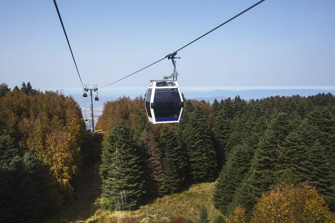 Istanbul: Bursa and Uludag Mountain Day Trip with Cable Car - Transport, group size, and guide quality