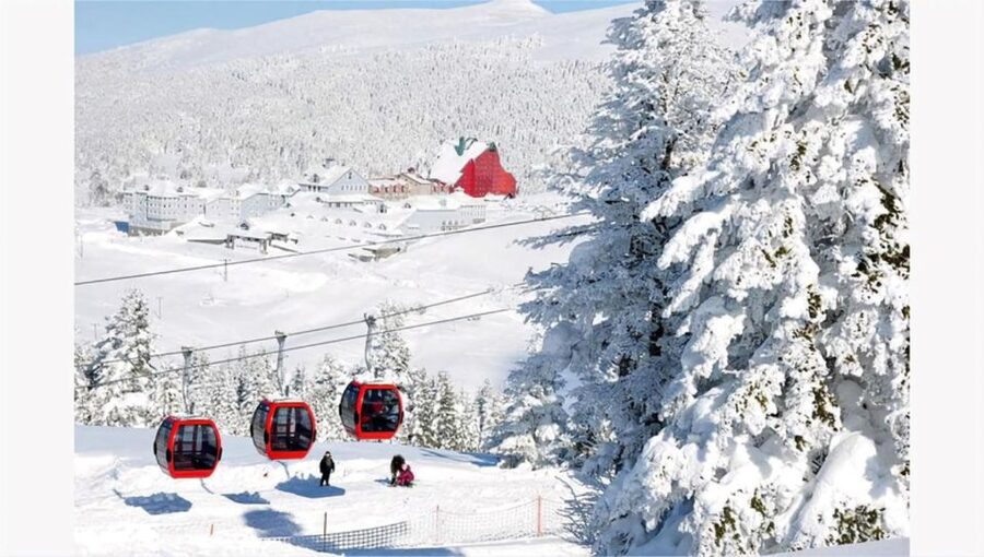 Istanbul: Bursa & Uludag Mountain Day Trip w/ Opt. Cable Car - Reaching Uludag Mountain