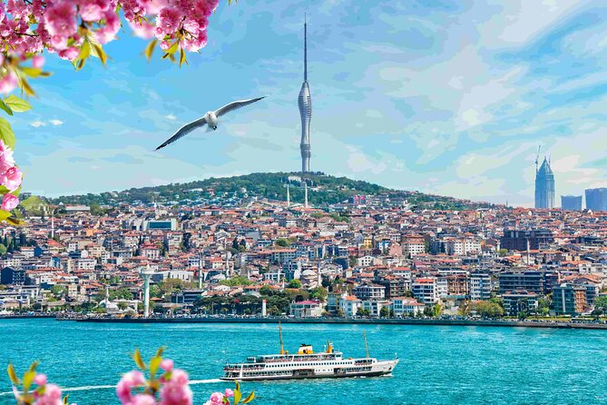 Istanbul Camlica Tower: Private Entry, Transfer & Dine Choices - Choosing breakfast, coffee, lunch, or dinner