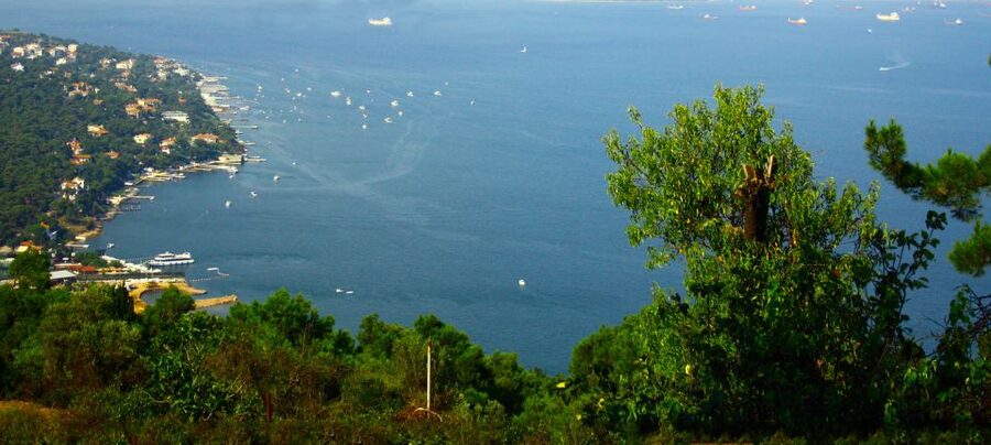Istanbul: Day Trip to the Princes' Islands - Arriving on Büyükada