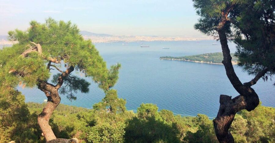 Istanbul: Day Trip to the Princes' Islands - The ferry ride across the Marmara Sea