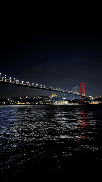 Istanbul: Exclusive Istanbul Night Tour with Private VIP Car - Who will get the most from it