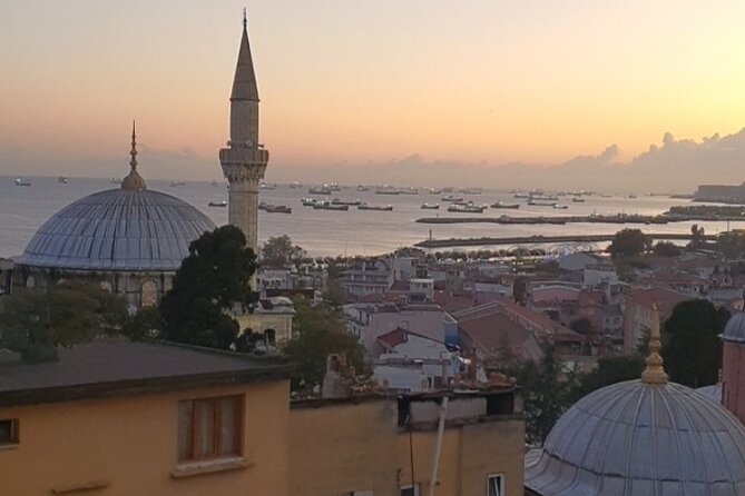 Istanbul famous sight Skip-the-Line Private Tour with LocalExpert - Hagia Sophia: plan for a major ticket expense