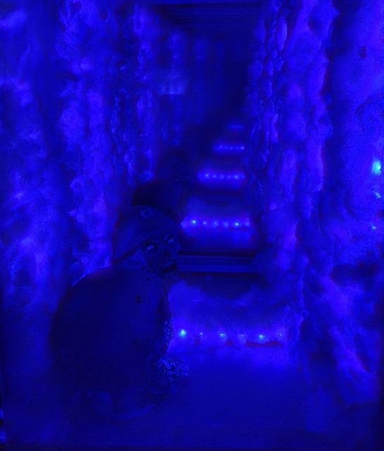 İstanbul: Frankenstein House of Horror, Escape Room Game - Who should skip this attraction
