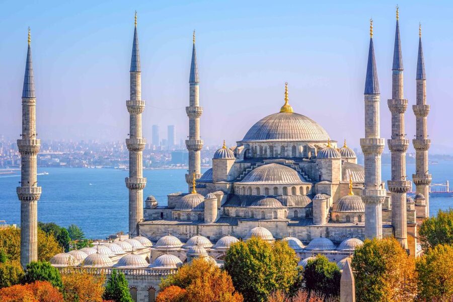 Istanbul: Full-Day Guided Tour - Şerefiye Cistern: a quieter final stop