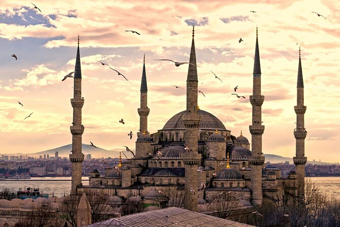 Istanbul Full day Private English Guided Old City Tour - Hippodrome Square and Roman Istanbul