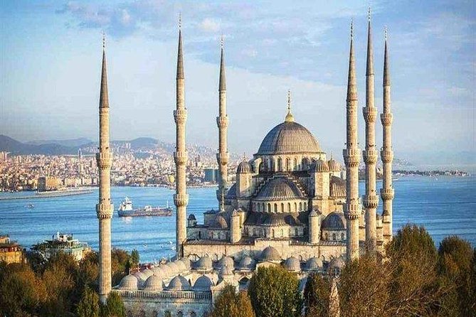 ISTANBUL: Full-Day Private Tour with Top Attractions - Browsing the Grand Bazaar