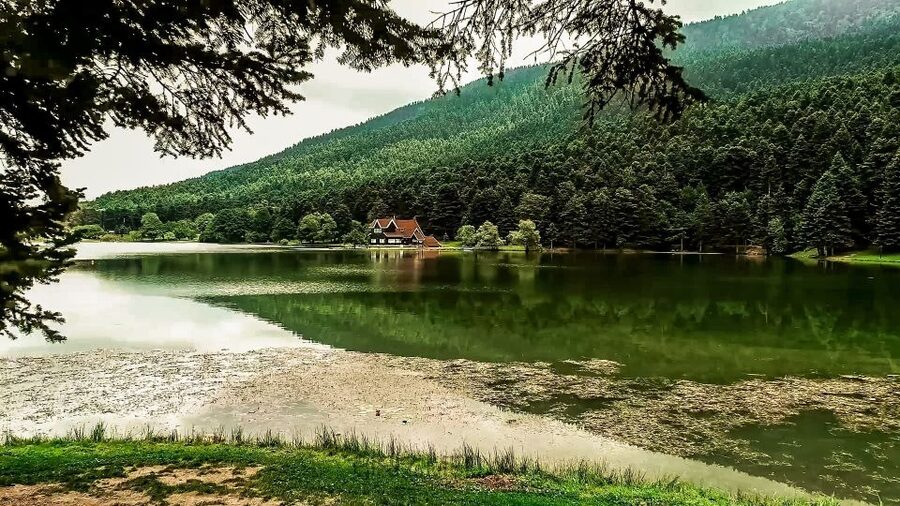 Istanbul: Full-Day Sapanca Lake and Masukiye Tour with Lunch - Honey and Turkish delight near Sapanca
