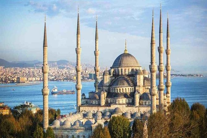 Istanbul: Full-Day Tour with Top Attractions from Hotels or Port - Walking, trams, and hotel pickup