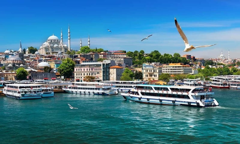 Istanbul: Guided Bosphorus Cruise & Golden Horn Bus Tour - Key points to know before you book