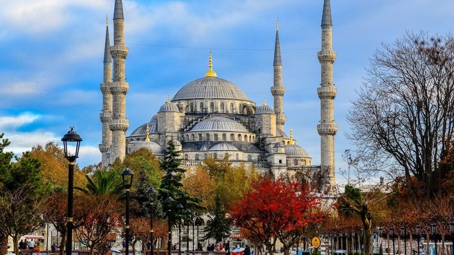 Istanbul: Half Day Morning Walking Tour - Key points at a glance