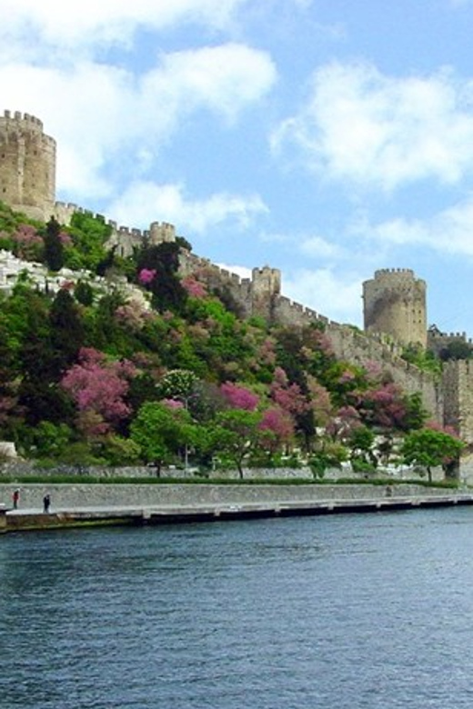 Istanbul Half-Day Tour and Bosphorus Cruise - Key points at a glance