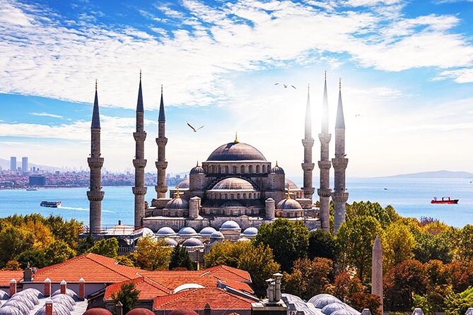 Istanbul Highlights: Half Day Morning Tour - Group size, pickup, and the real logistics