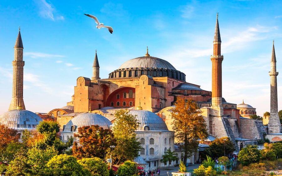 Istanbul: Old City Full-Day Tour -(Entry Fees Inculucing) - The guide and the value of a group tour