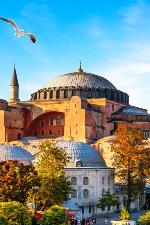 Istanbul: Old City Full-Day Tour -(Entry Fees Inculucing) - Hagia Sophia from the garden