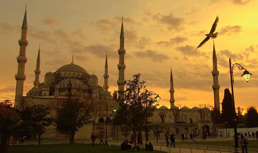 Istanbul: Old City Full-Day Tour -(Entry Fees Inculucing) - Topkapi Palace and the Ottoman court
