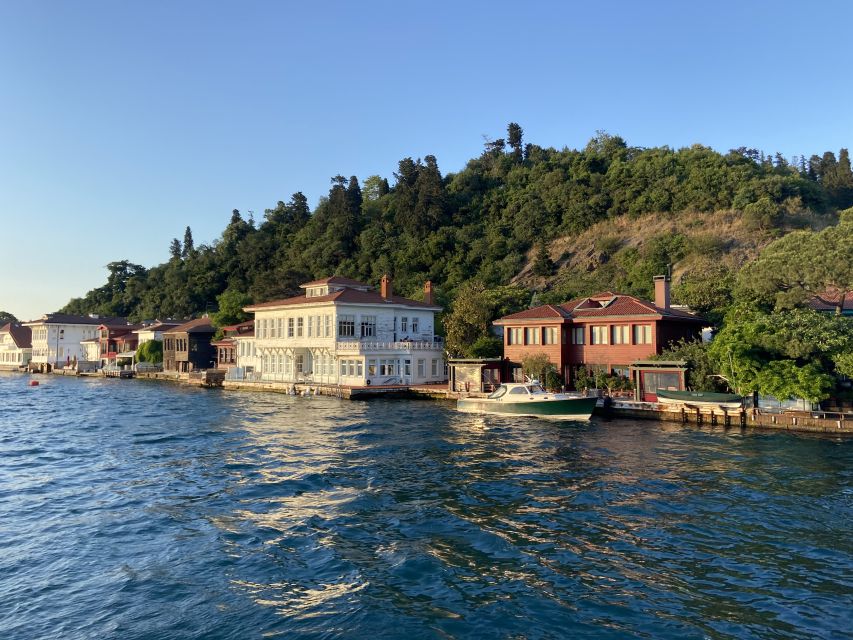 Istanbul: Old Town Highlights Tour & Bosphorus Cruise - Final call: a useful first-day overview with caveats