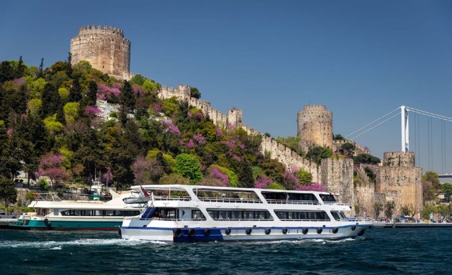 Istanbul: Old Town Tour and Bosphorus Lunch Cruise - Sights from the Bosphorus
