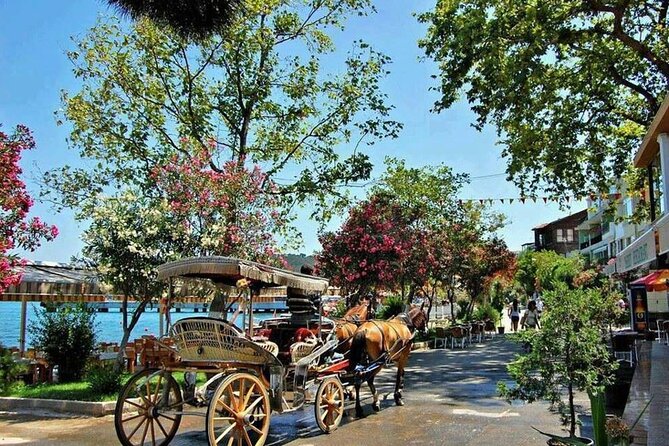 Istanbul Princes Island Tour with Lunch & Hotel Transfer - Key points before you book