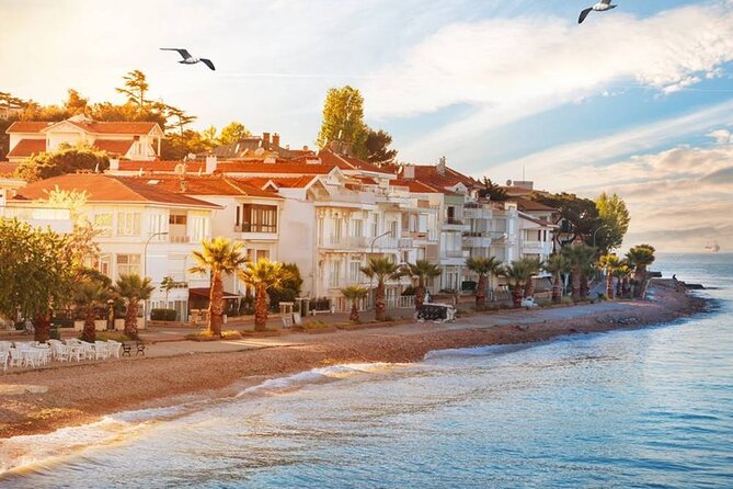 Istanbul Princes Island Tour with Lunch & Hotel Transfer - The biggest concern: extra shopping stops