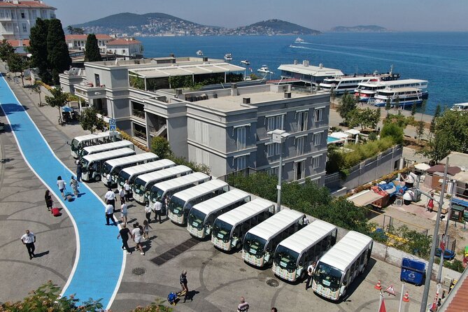 Istanbul Princes Island Tour with Lunch & Hotel Transfer - Who should book this island trip?
