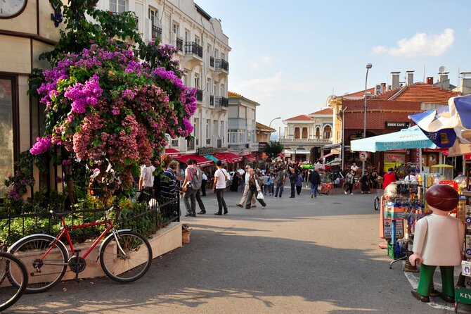 Istanbul Princes Island Tour with Lunch & Hotel Transfer - Heybeliada: greenery, old houses, and a short walk