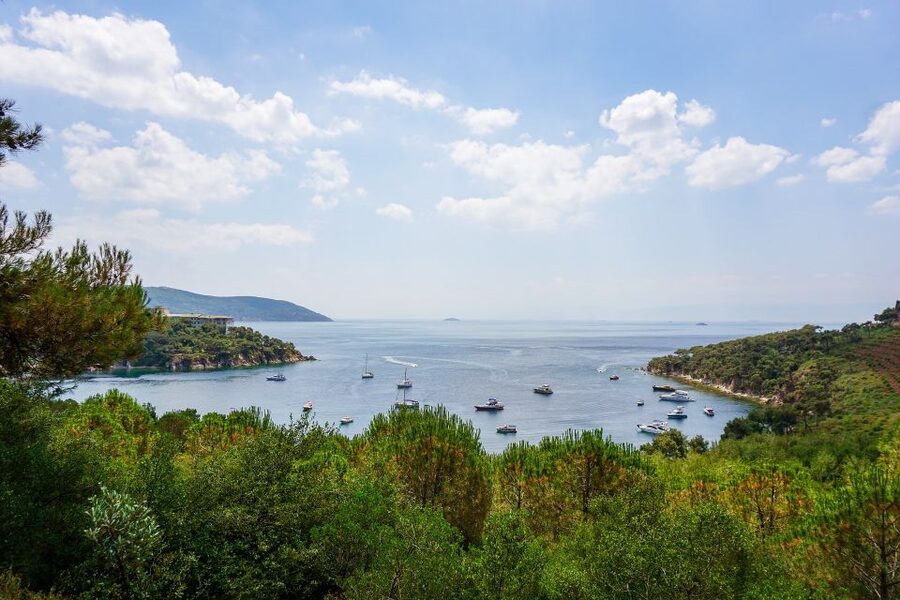 Istanbul: Princes' Islands Cruise w/Music, Lunch & Transfer - Key points at a glance
