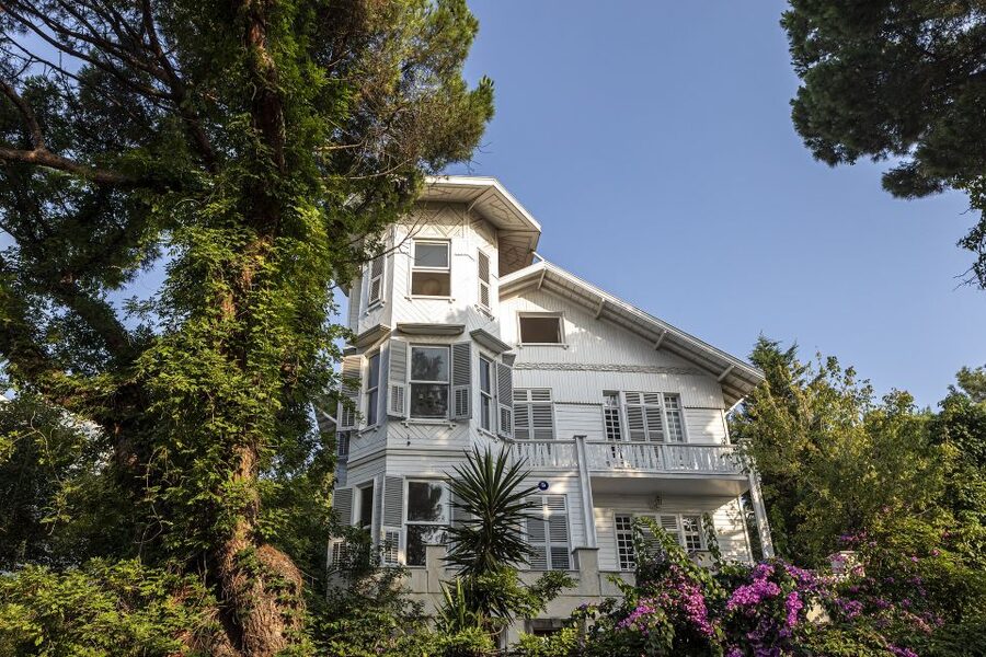 Istanbul: Princes' Islands Cruise w/Music, Lunch & Transfer - What $34 really buys you