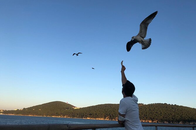 Istanbul: Princes Islands Tour with Heybeliada and Buyukada - The ferry ride across the Sea of Marmara
