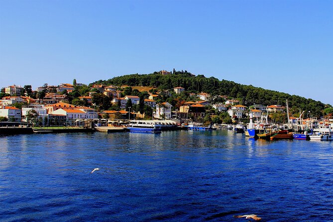 Istanbul: Princes Islands Tour with Heybeliada and Buyukada - Swimming and summer beach time