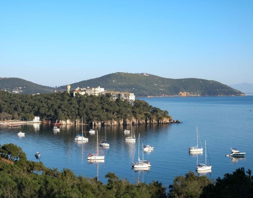 Istanbul: Princes' Islands Tour with Lunch and Transfers - What the guide service is really like