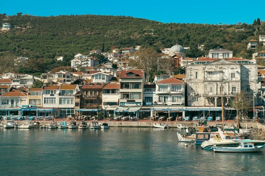Istanbul: Princes Islands Walking Full-Day Tour - Leaving Istanbul by ferry across the Bosphorus