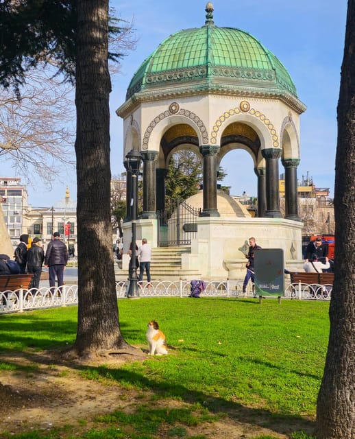 Istanbul Private City Tour By Art Historian - Hagia Sophia and Basilica Cistern as optional choices