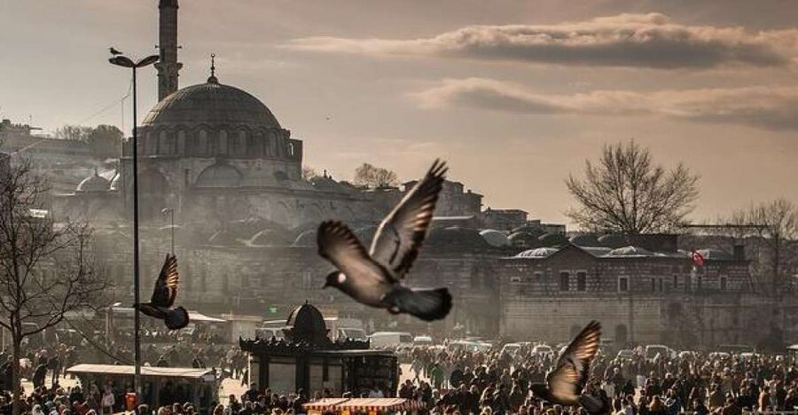 Istanbul: Private Full-Day Old City Highlights Tour - Topkapi Palace: allow two hours for the Ottoman court