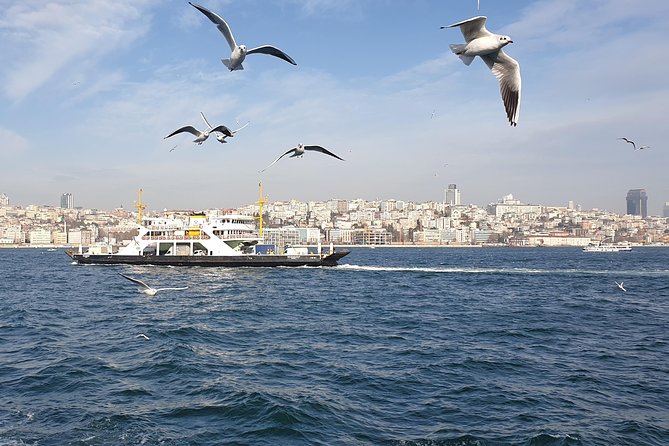 Istanbul Private Guided Tour for Layover Flight. Transfer incl. - Hagia Sophia: the tour’s major paid sight