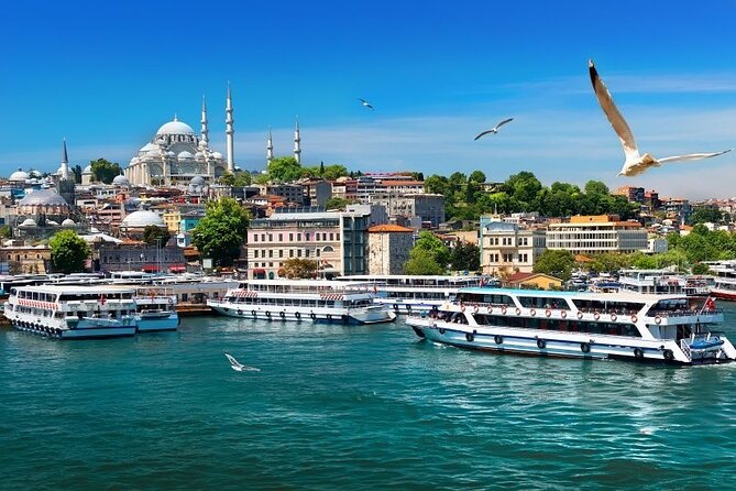 Istanbul Private Tour from Cruise Port - Food and seating are the biggest risks at the show
