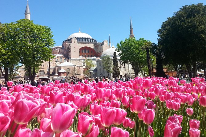 Istanbul Private Tours: 1, 2 or 3 Day Highlights - Palaces and mosques reward a slower day