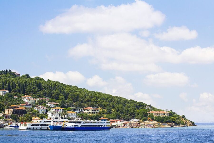 Istanbul: Round-Trip Ferry Tickets to the Princes' Islands - Key points at a glance