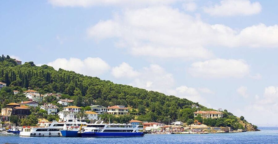 Istanbul: Round-Trip Ferry Tickets to the Princes' Islands - Getting your bearings on Büyükada